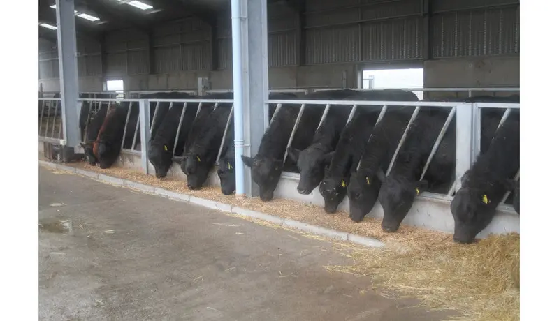 Ritchie Diagonal Feed Barrier 1