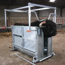 Ritchie Highland Cattle Handling Chute - 337G 1
