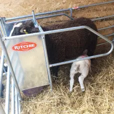 Ritchie Lamb Adopter 1