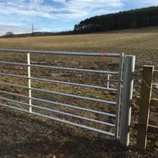 Ritchie Midland Standard Gates 1