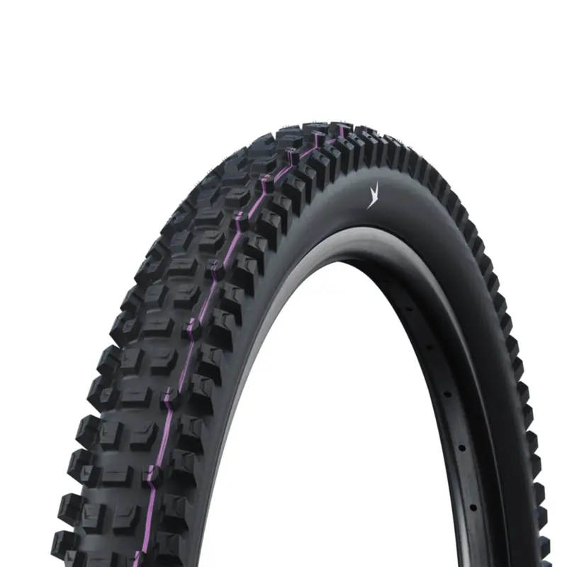 Schwalbe Albert Radial 2