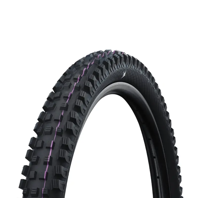Schwalbe Magic Mary Gravity Pro Radial Tire Soft 1