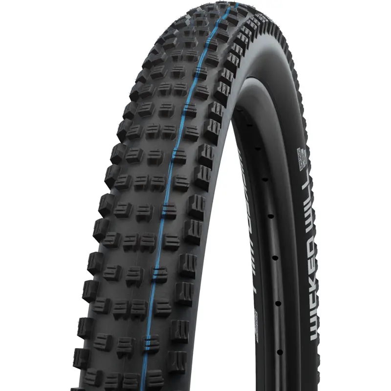 Schwalbe Wicked Will Tire 1