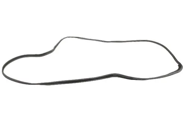 Sunroof Seal - Jaguar 1