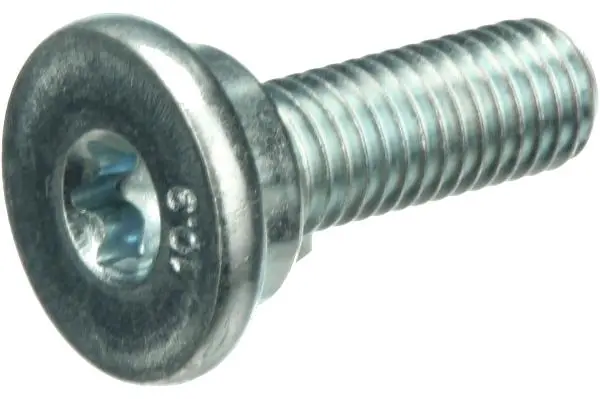 Tensioner Lever Bolt - Porsche 1