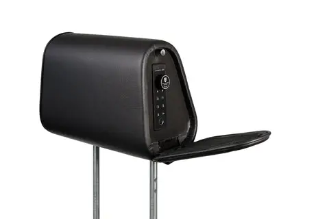 The Headrest Safe 1