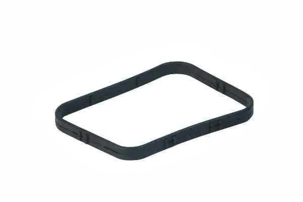 Thermostat Gasket - Jaguar 1