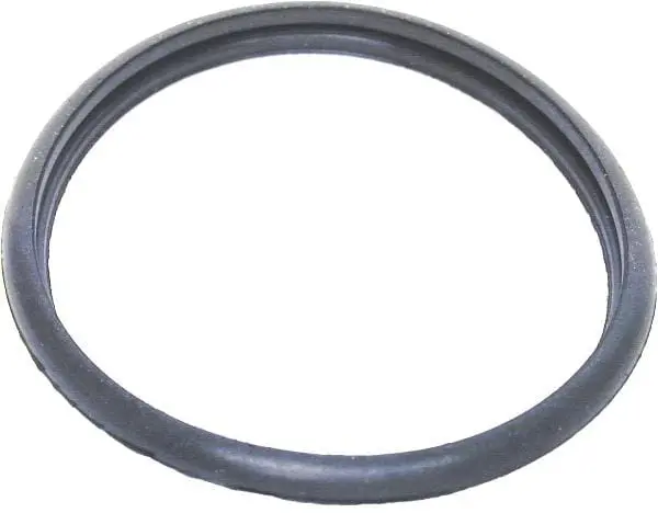 Thermostat O-Ring - Jaguar 1