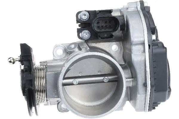Throttle Body - Vw/Audi 1