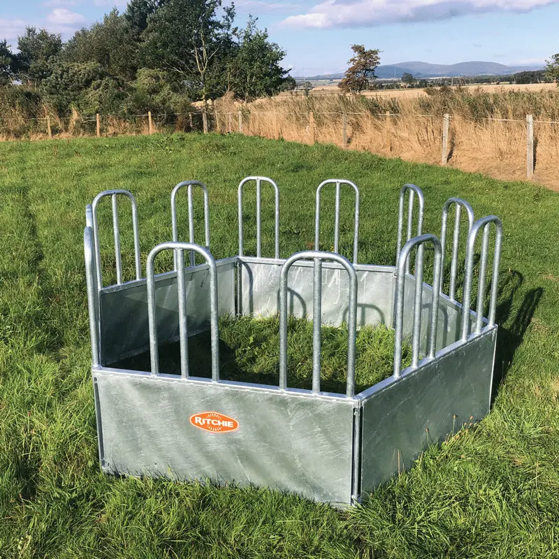Tombstone Feed Ring - 389G 1