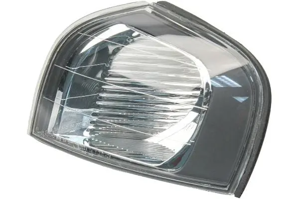 Turn Signal Light - Volvo 1