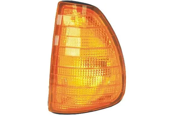 Turn Signal - Mercedes 1