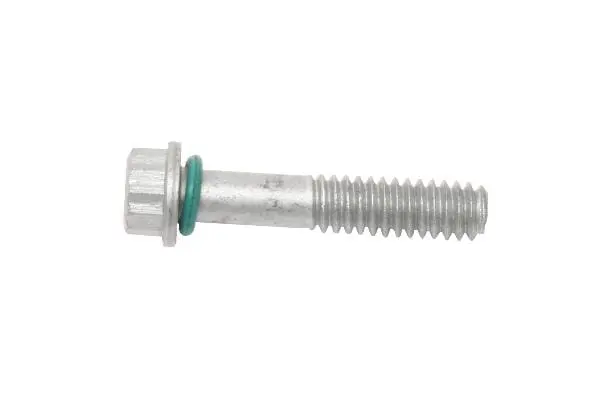 Valve Cover Screw - Land Rover 1