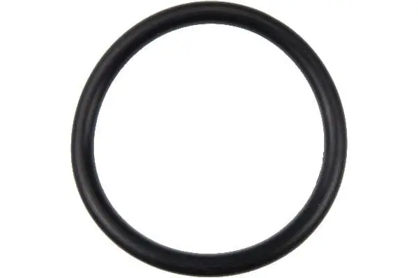 Water Pipe O-Ring - Bmw 1
