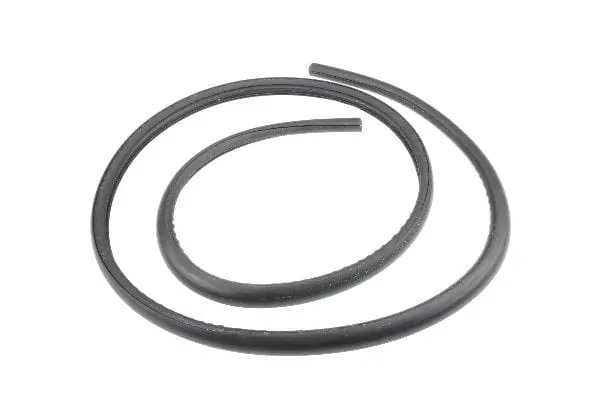 Windshield Seal - Jaguar 1