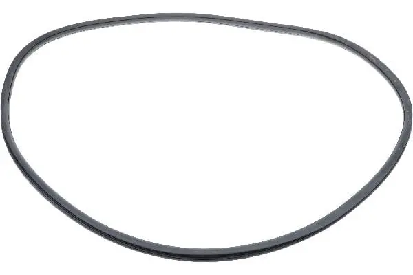 Windshield Seal - Vw/Audi 1