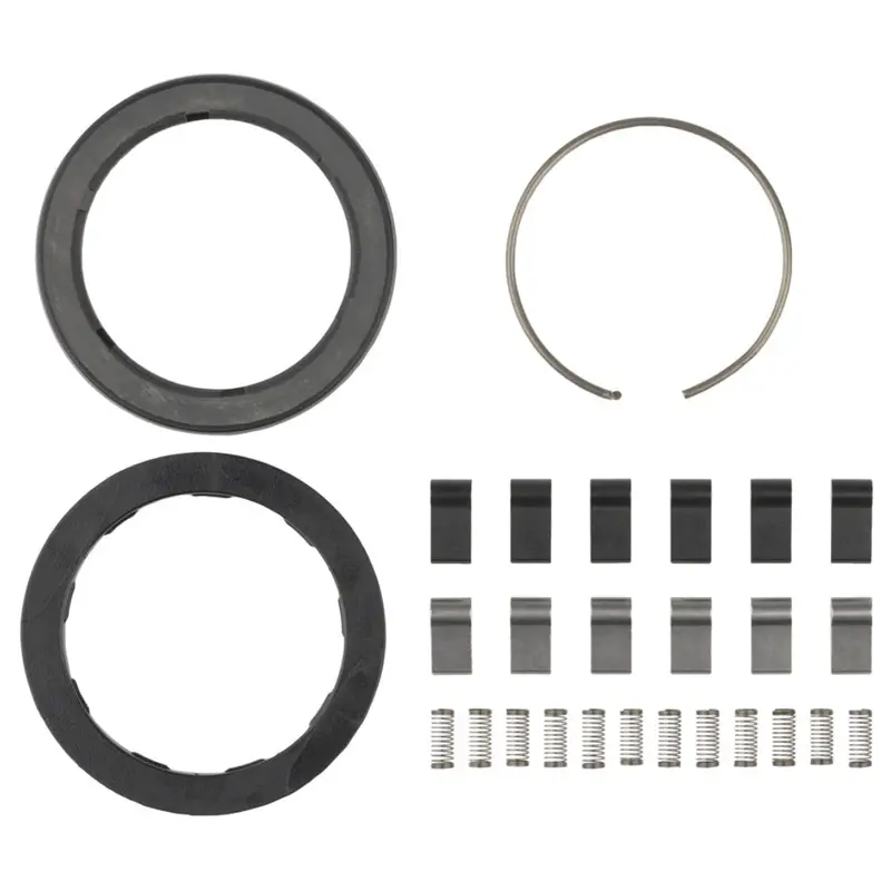 Zipp Spring And Pawl Set 1