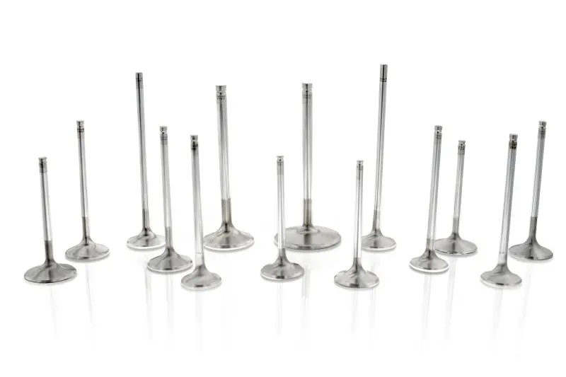 Ferrea Performance Intake Valves For Small-Block Chevy/Chrysler/Ford – 2.02", +0.100" Hollow Stem, 12° Angle (Set Of 8) 1