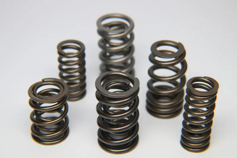 Ferrea Porsche 996Tt 3.6L Dual Valve Spring - Single 1